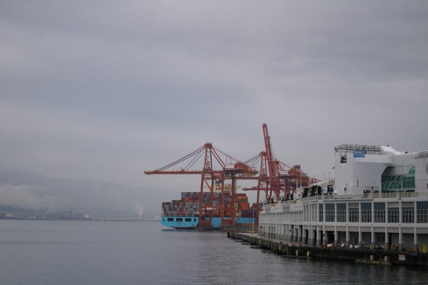 Cargo ship and cranes at a busy port
