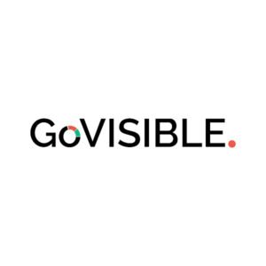 GoVISIBLE LOGO