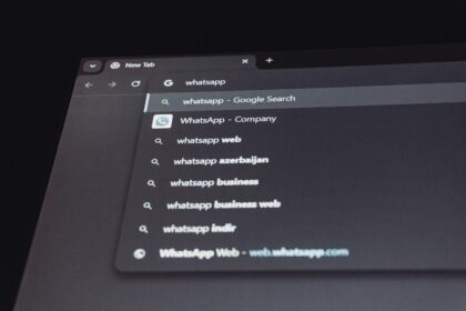 Google search results for whatsapp
