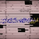 Glitching document with blue and yellow text