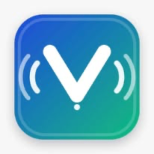 VoiceFleet logo